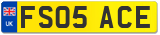 FS05 ACE