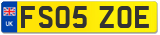 FS05 ZOE