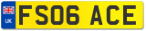 FS06 ACE