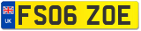 FS06 ZOE