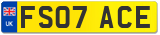 FS07 ACE