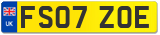 FS07 ZOE