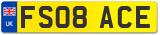 FS08 ACE