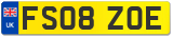 FS08 ZOE