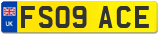 FS09 ACE