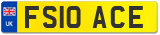 FS10 ACE