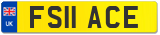 FS11 ACE