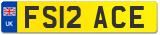 FS12 ACE