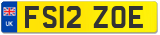 FS12 ZOE