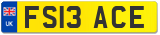FS13 ACE