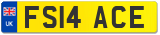 FS14 ACE