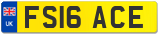 FS16 ACE