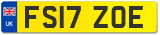FS17 ZOE