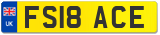 FS18 ACE