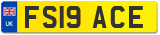 FS19 ACE