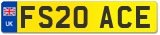 FS20 ACE