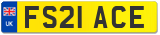 FS21 ACE