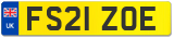 FS21 ZOE