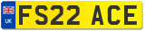 FS22 ACE