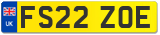 FS22 ZOE