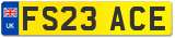 FS23 ACE