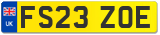 FS23 ZOE