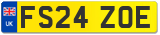 FS24 ZOE