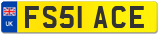 FS51 ACE