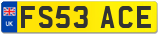 FS53 ACE