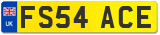FS54 ACE