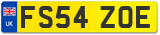 FS54 ZOE