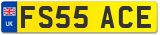 FS55 ACE