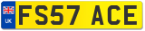 FS57 ACE