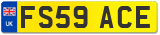 FS59 ACE