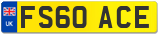 FS60 ACE