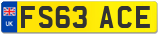 FS63 ACE