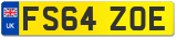 FS64 ZOE