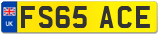 FS65 ACE