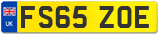 FS65 ZOE