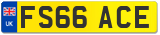 FS66 ACE