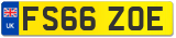 FS66 ZOE