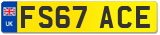 FS67 ACE