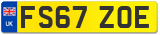 FS67 ZOE