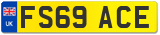 FS69 ACE