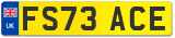 FS73 ACE