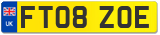 FT08 ZOE