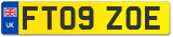 FT09 ZOE