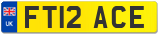 FT12 ACE