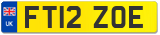 FT12 ZOE