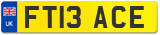 FT13 ACE